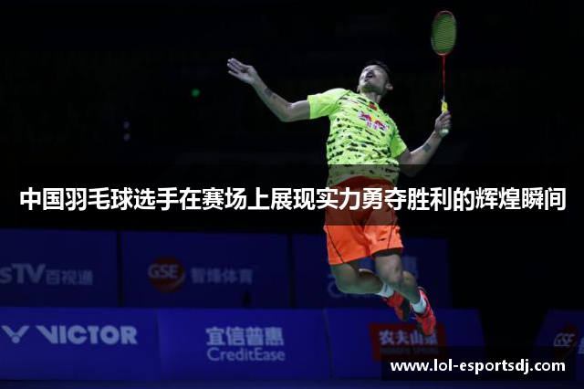 中国羽毛球选手在赛场上展现实力勇夺胜利的辉煌瞬间