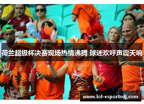 荷兰超级杯决赛现场热情沸腾 球迷欢呼声震天响