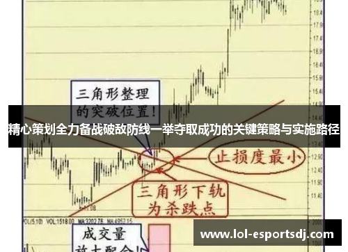 精心策划全力备战破敌防线一举夺取成功的关键策略与实施路径