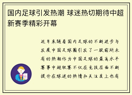 国内足球引发热潮 球迷热切期待中超新赛季精彩开幕