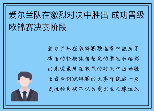 爱尔兰队在激烈对决中胜出 成功晋级欧锦赛决赛阶段